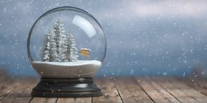 A snow globe with pine trees in it