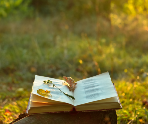 An open book lying on the grass