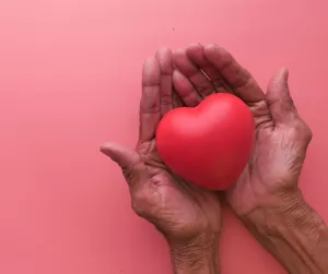 Two hands holding a plastic heart against a pink backdrop
