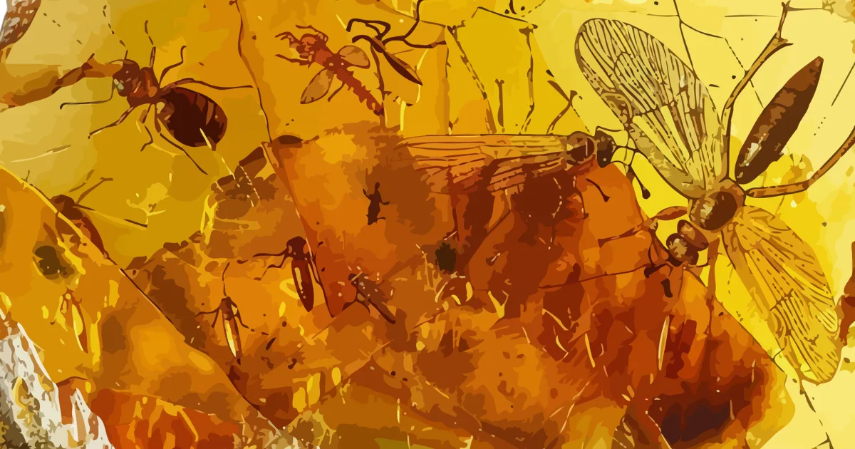Insects in amber resin